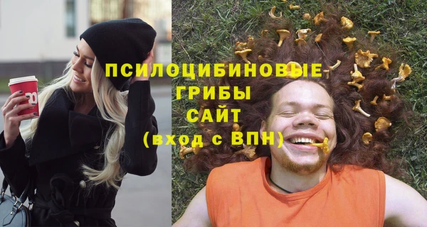 не бодяженный Алзамай
