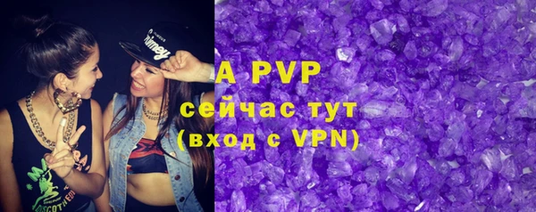 дмт Алексин