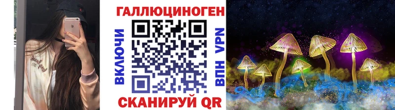 Галлюциногенные грибы Psilocybine cubensis  Дзержинский 